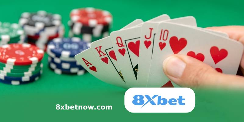 8xbet-Poker.